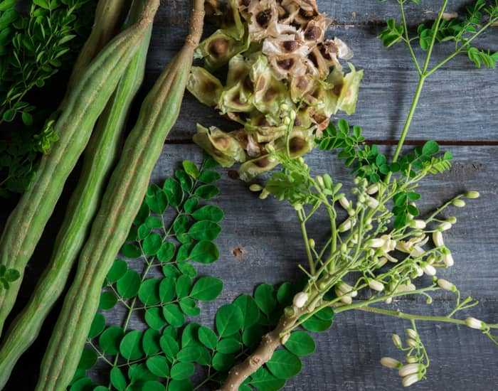 moringa-pod.jpg